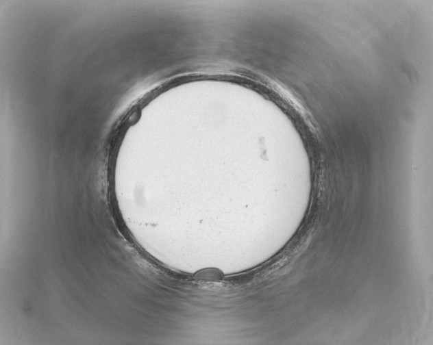 X0000114431456200911271608