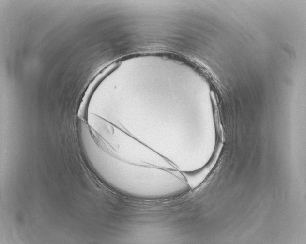 X0000114431457200911271608