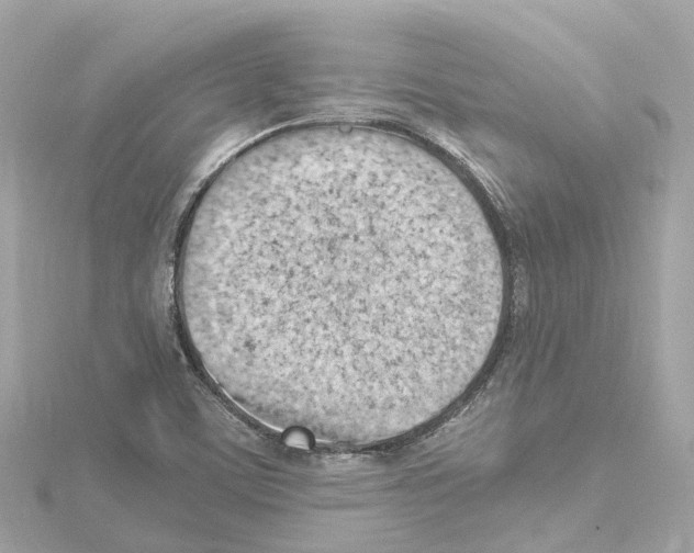 X0000114431459200911271608