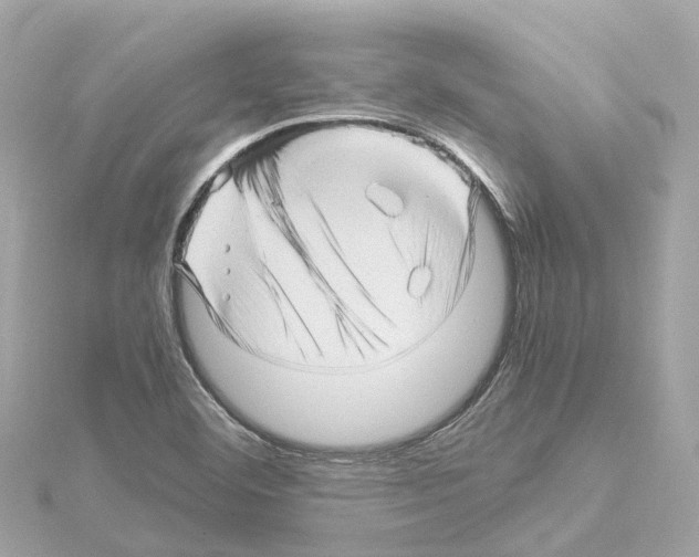 X0000114431460200911271608