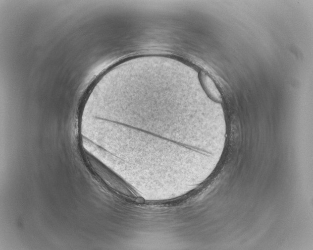 X0000114431461200911271608