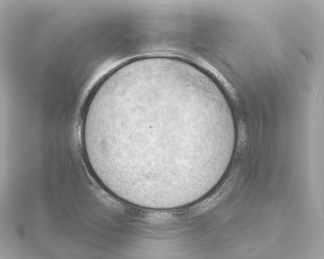 X0000114431462200911271608