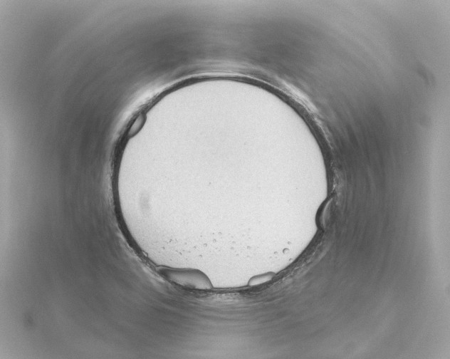 X0000114431464200911271608