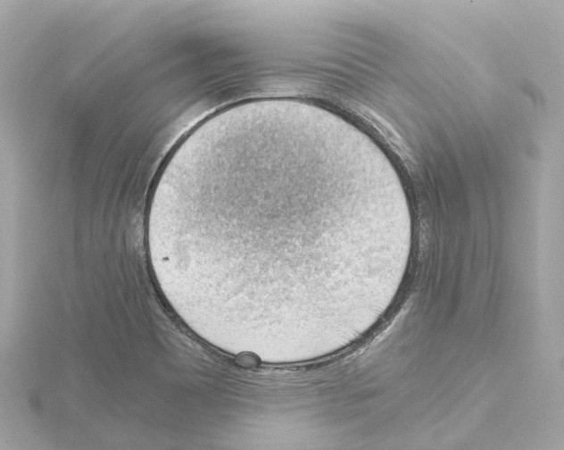 X0000114431465200911271608