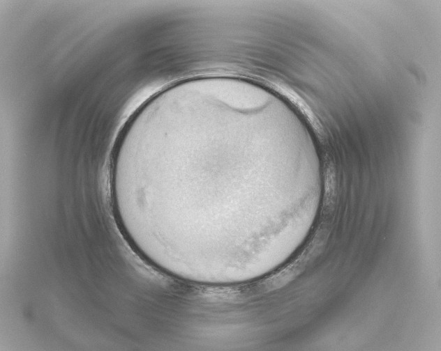 X0000114431466200911271608