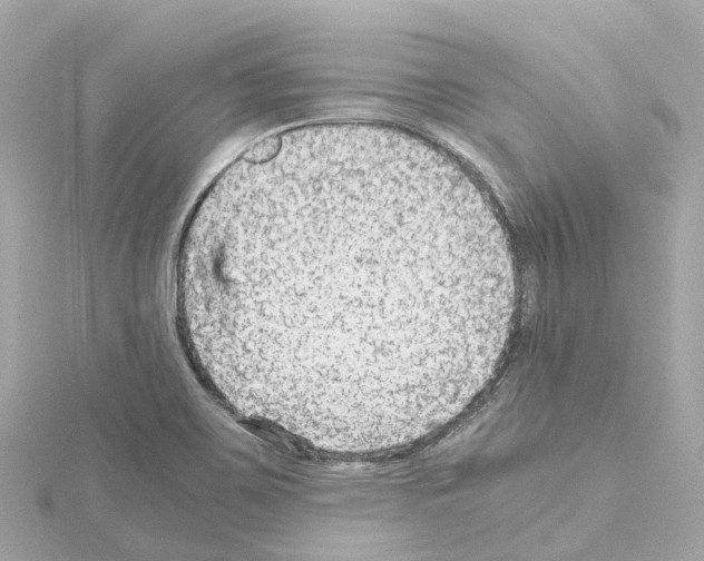 X0000114431467200911271608