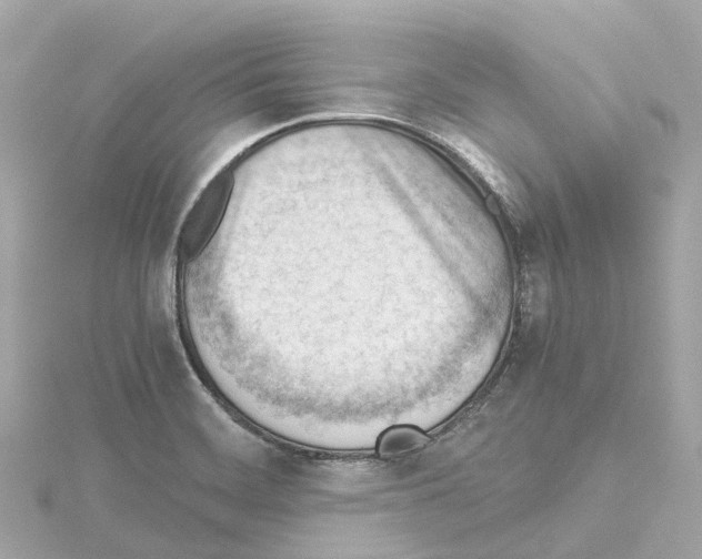 X0000114431468200911271607