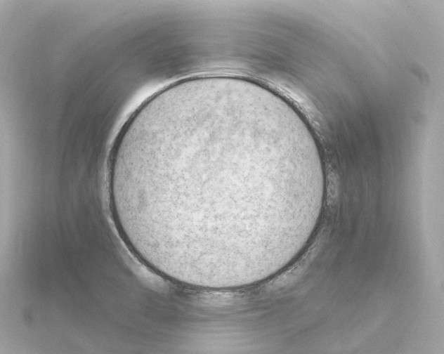 X0000114431470200911271607