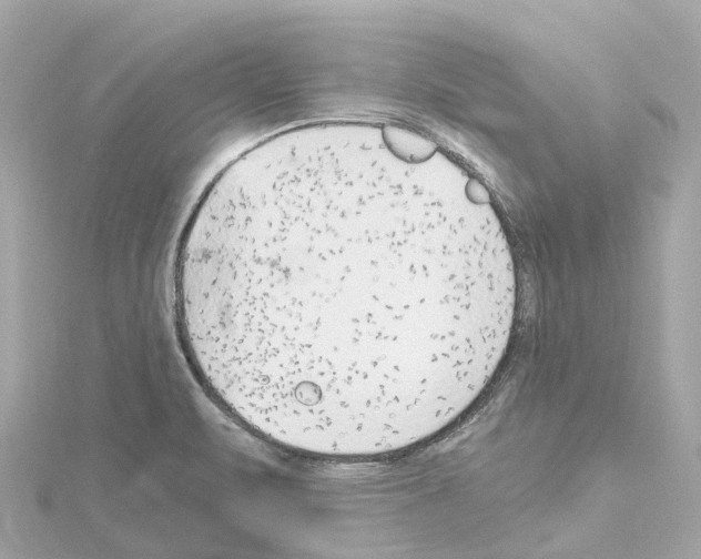 X0000114431471200911271607