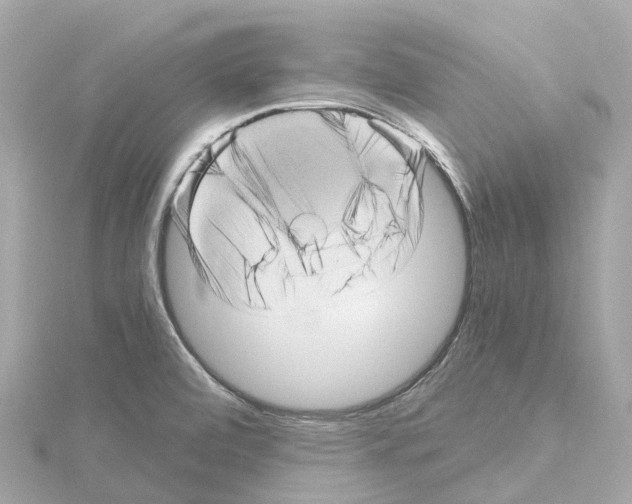 X0000114431472200911271607