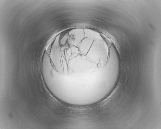 X0000114431473200911271607