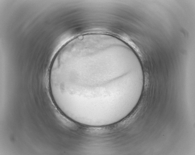 X0000114431474200911271607