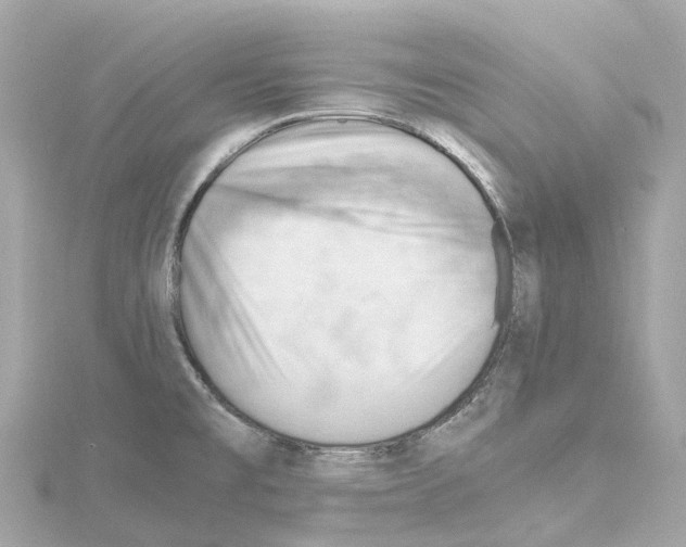 X0000114431477200911271607