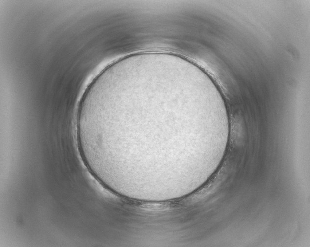 X0000114431478200911271607