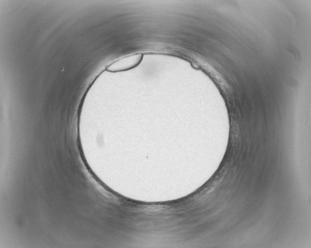 X0000114431479200911271607