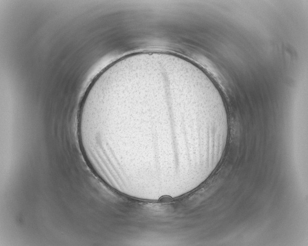 X0000114431480200911271607