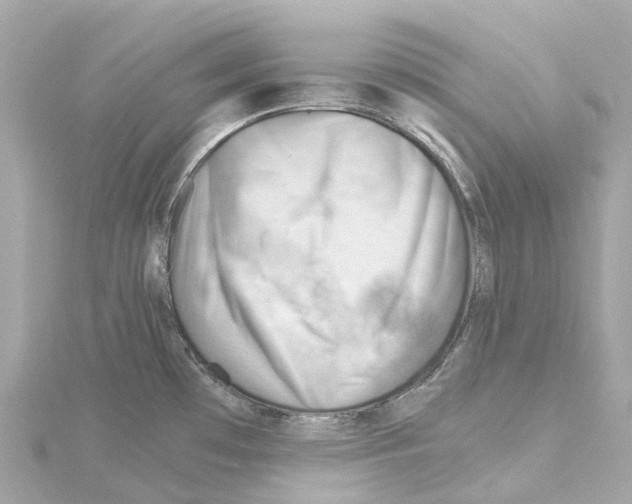 X0000114431481200911271607