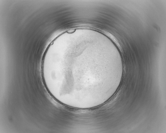 X0000114431482200911271607