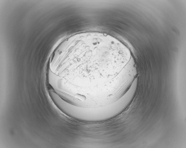 X0000114431483200911271607