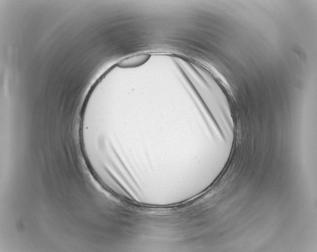 X0000114431484200911271607