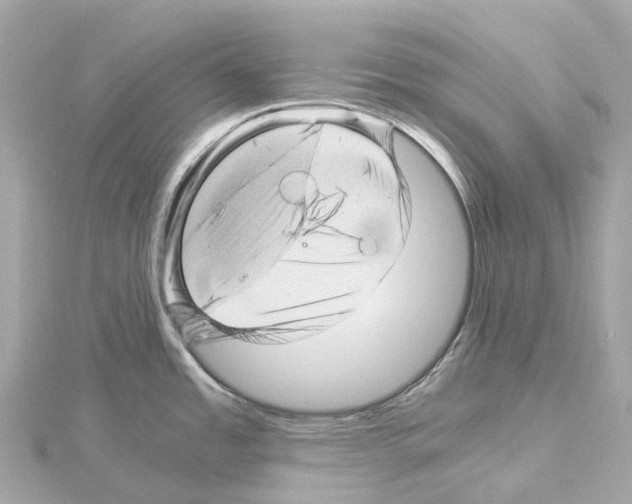 X0000114431485200911271607