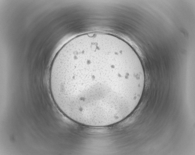 X0000114431486200911271607