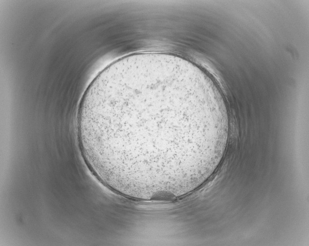 X0000114431487200911271607