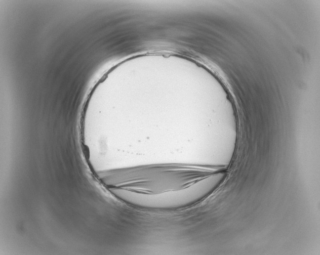 X0000114431488200911271607