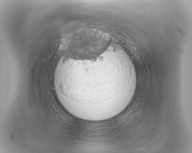 X0000114431489200911271607