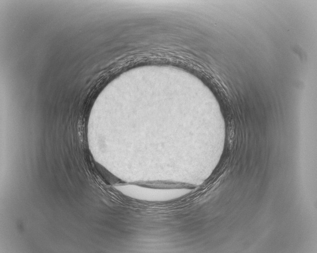 X0000114431490200911271607