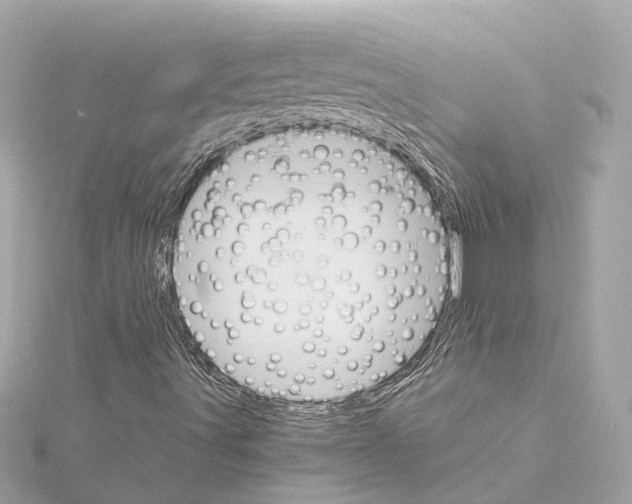 X0000114431491200911271607