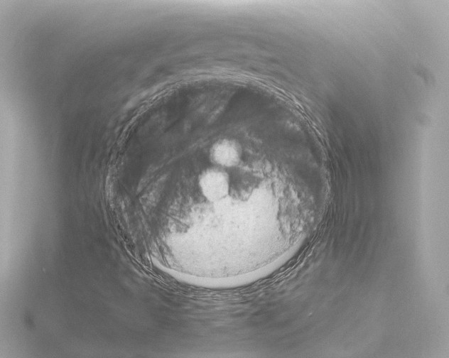 X0000114431493200911271607