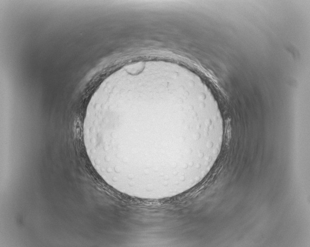 X0000114431495200911271607