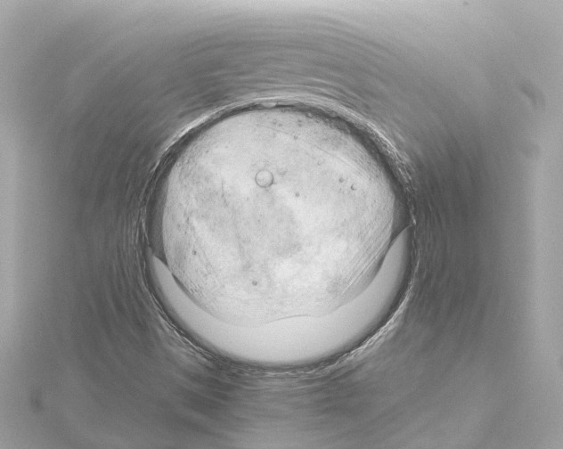 X0000114431497200911271607