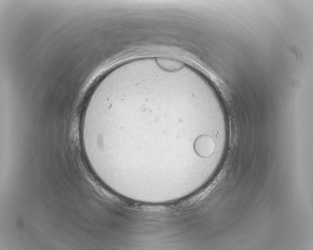 X0000114431498200911271607