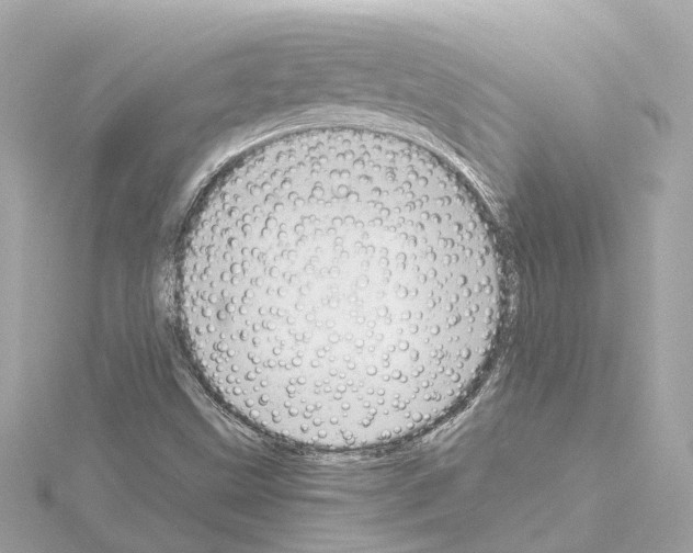 X0000114431499200911271607