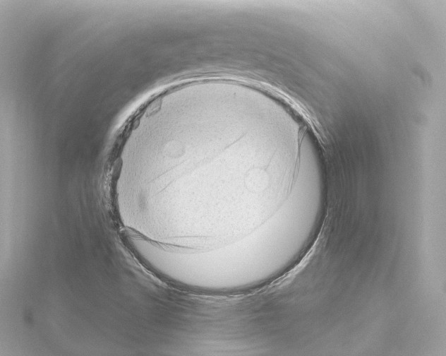 X0000114431502200911271607