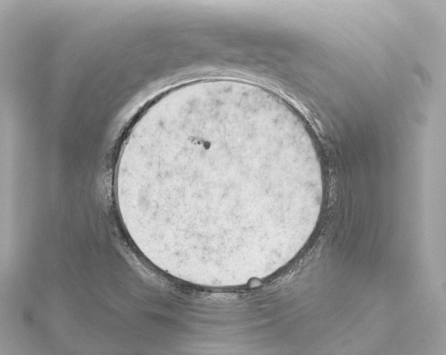 X0000114431503200911271607