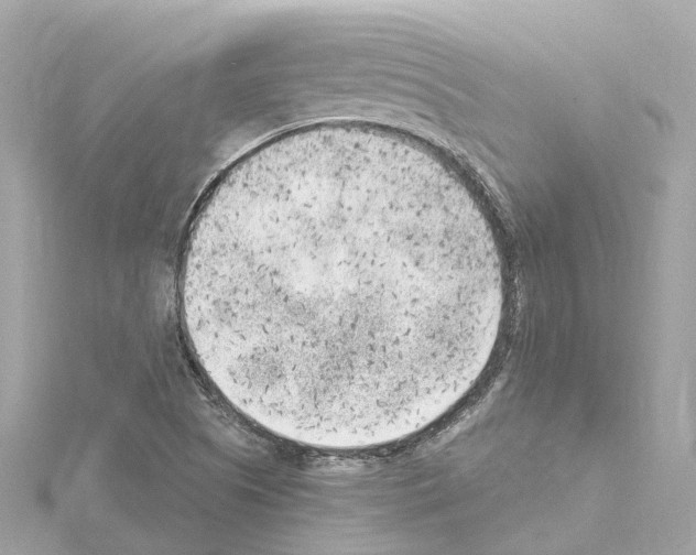 X0000114431505200911271607