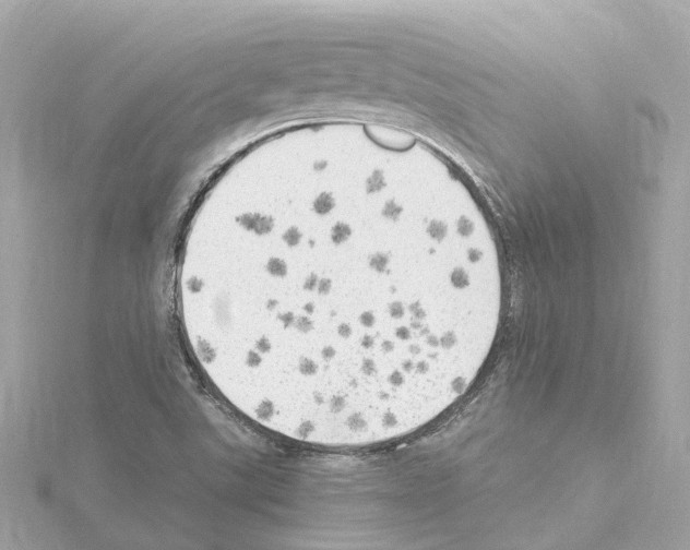 X0000114431507200911271607