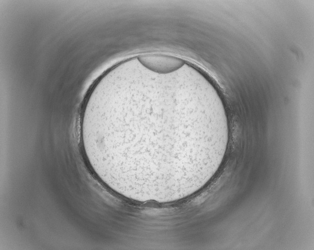 X0000114431510200911271607