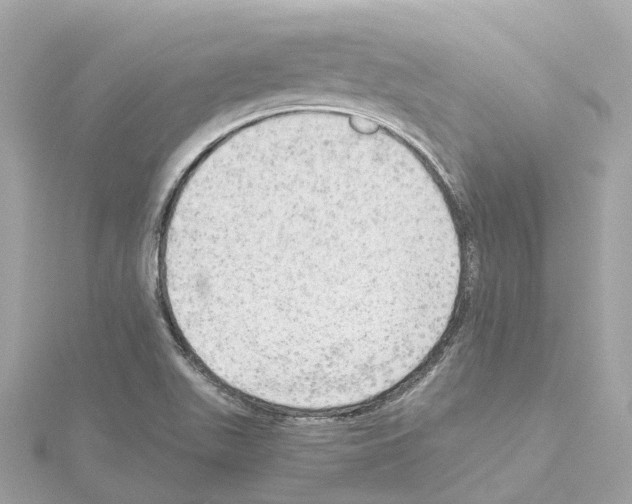 X0000114431511200911271607