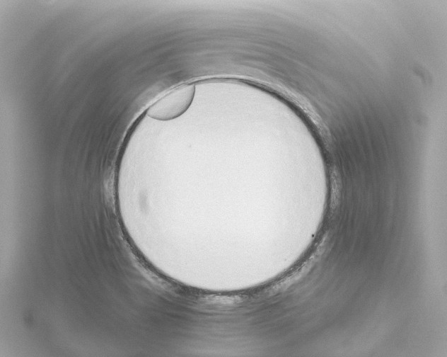 X0000114431513200911271607