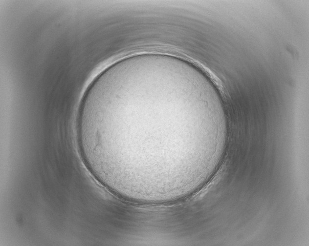 X0000114431514200911271607