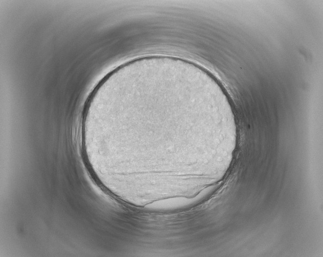 X0000114431515200911271607