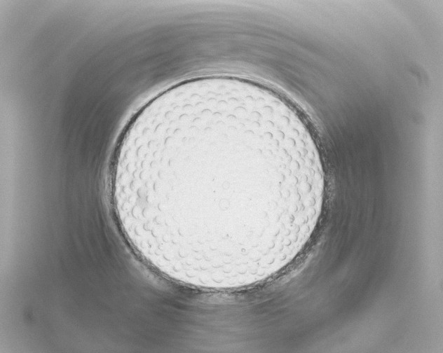 X0000114431517200911271607