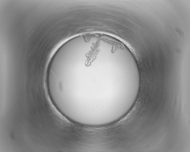 X0000114431518200911271607