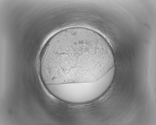 X0000114431519200911271607