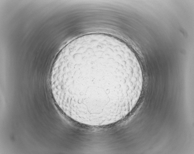 X0000114431521200911271607