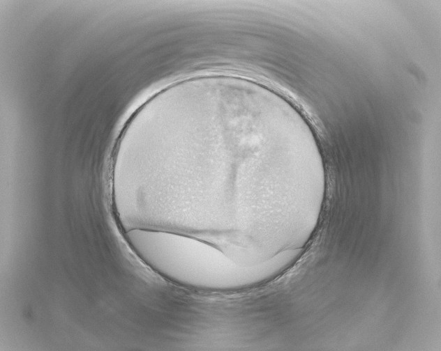 X0000114431522200911271607